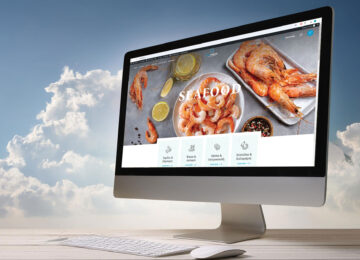 Website Sol Nuevo