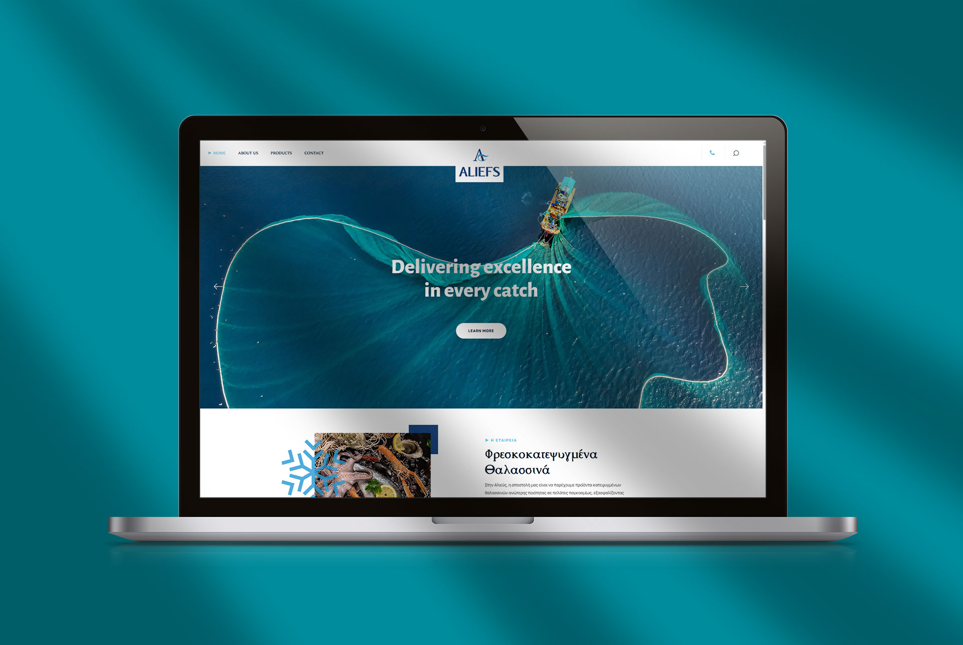 Aliefs Website